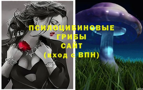 гашиш Ельня