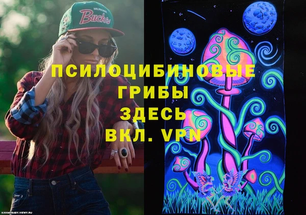 гашиш Ельня