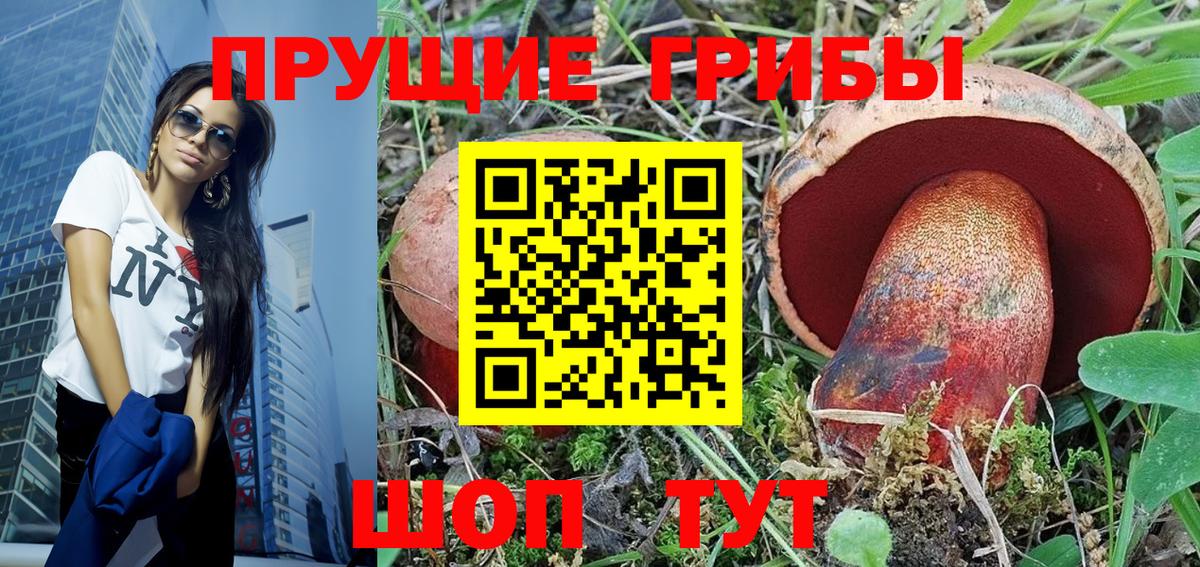 Сланцы  Галлюциногенные грибы Psilocybine cubensis  Галлюциногенные грибы ЛСД  Вход с VPN 