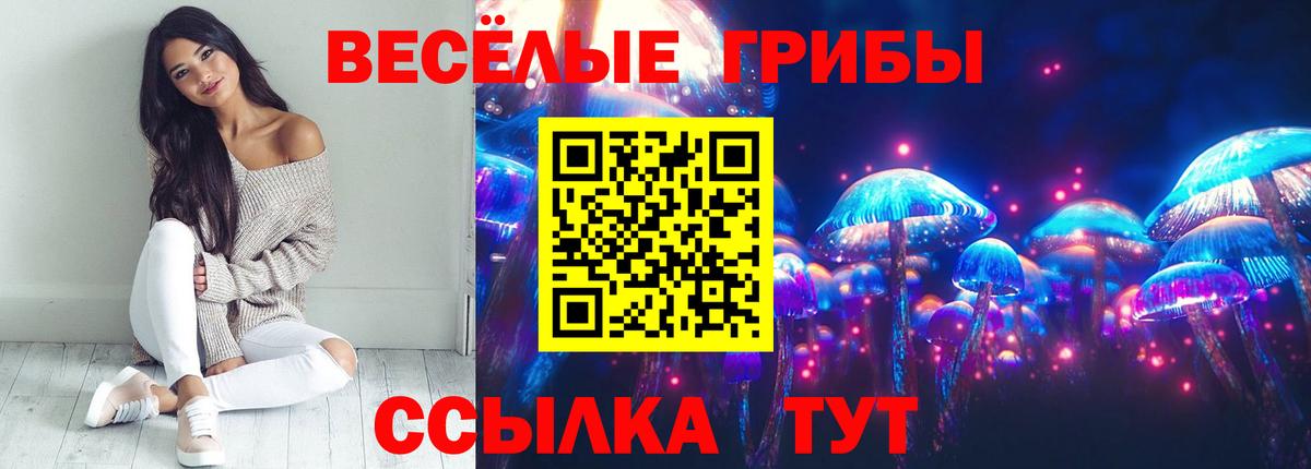 Галлюциногенные грибы Magic Shrooms Сланцы