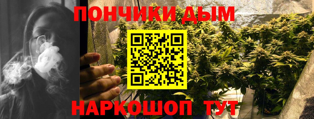 Бошки марихуана THC 21% Сланцы
